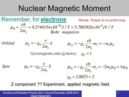 Nuclear Magnetic Moment