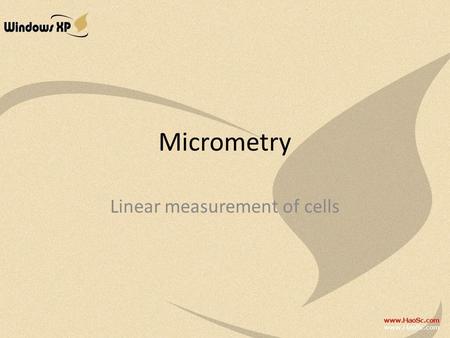 Linear measurement of cells