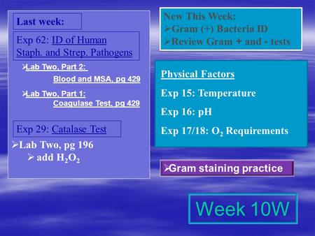 Week 10W New This Week: Last week: Gram (+) Bacteria ID