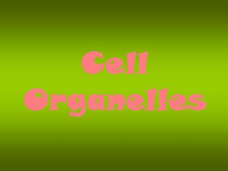 Cell Organelles.