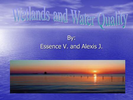 By: Essence V. and Alexis J.. An area of land that is sometimes underwater or whose soil contains a great deal of moisture, is called wetlands An area.