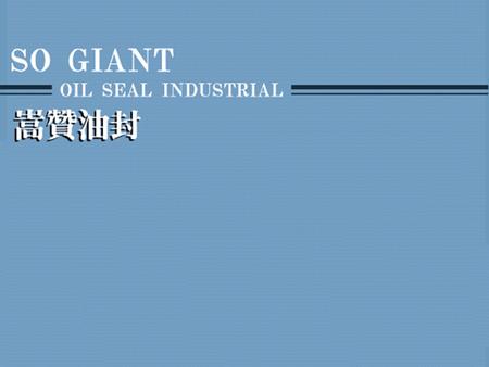 so Giant oil Seals introduction