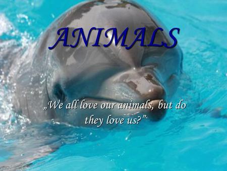 „We all love our animals, but do they love us?”