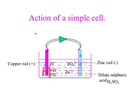 Action of a simple cell. e Zinc rod (-) Copper rod (+) H+ SO42- e H+