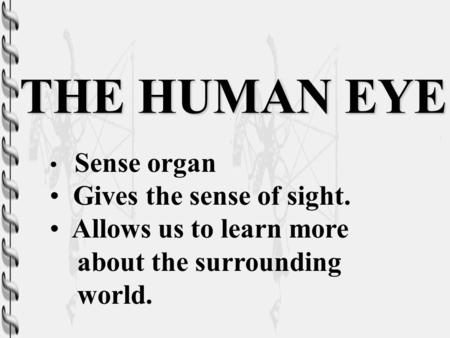 THE HUMAN EYE Gives the sense of sight. Allows us to learn more