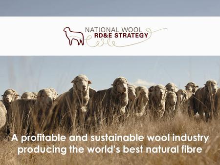 A profitable and sustainable wool industry producing the worlds best natural fibre.