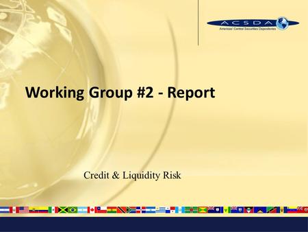 Working Group #2 - Report Credit & Liquidity Risk.