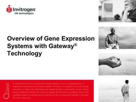 Overview of Gene Expression Systems with Gateway® Technology