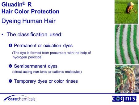 Dyeing Human Hair Gluadin® R Hair Color Protection
