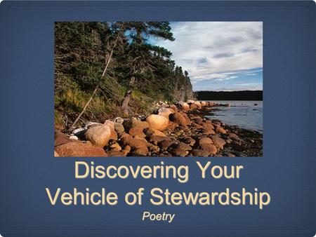 Discovering Your Vehicle of Stewardship