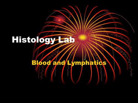 Histology Lab Blood and Lymphatics.