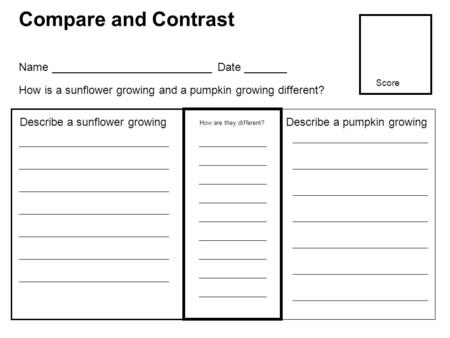 Compare and Contrast How are they different? Describe a sunflower growing Name __________________________ Date _______ How is a sunflower growing and a.