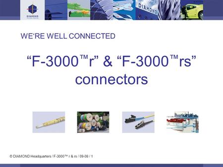 © DIAMOND Headquarters / F-3000 r & rs / 09-08 / 1 WERE WELL CONNECTED F-3000 r & F-3000 rs connectors.