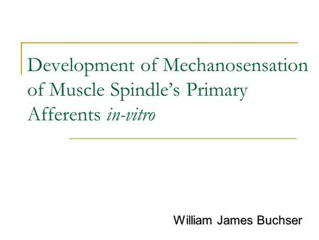 Development of Mechanosensation of Muscle Spindle’s Primary Afferents in-vitro William James Buchser.
