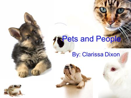 Pets and People By: Clarissa Dixon.