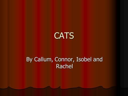 CATS By Callum, Connor, Isobel and Rachel. Introduction The Ancient Egyptians were the first to tame cats to protect their corn supplies. There are now.