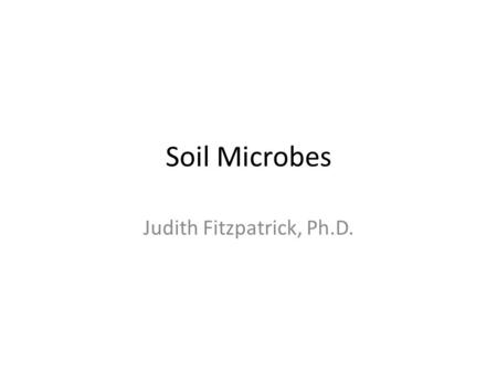 Judith Fitzpatrick, Ph.D.