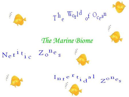 The Marine Biome.