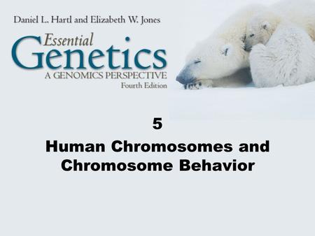 5 Human Chromosomes and Chromosome Behavior