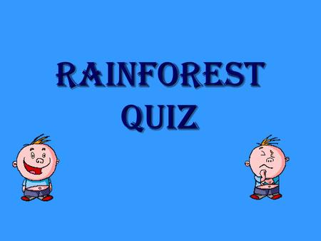 Rainforest quiz Question 1 Which of these is not the name for a rainforest layer? A Canopy B Forest floor C Trees and shrubs D Emergent.
