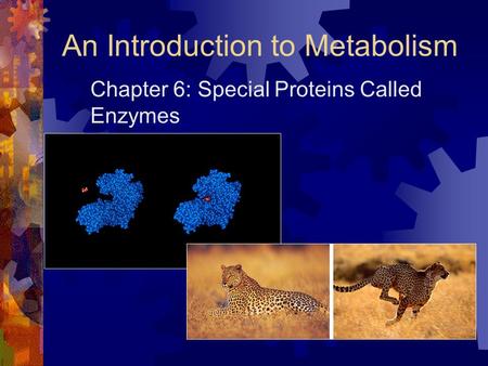An Introduction to Metabolism Chapter 6: Special Proteins Called Enzymes.