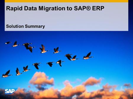 Solution Summary Rapid Data Migration to SAP® ERP.
