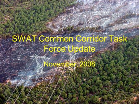 SWAT Common Corridor Task Force Update November, 2008.
