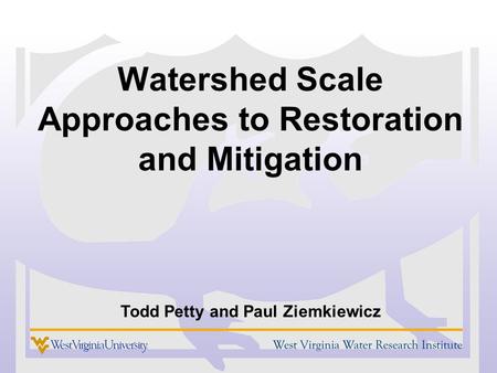 Watershed Scale Approaches to Restoration and Mitigation Todd Petty and Paul Ziemkiewicz.