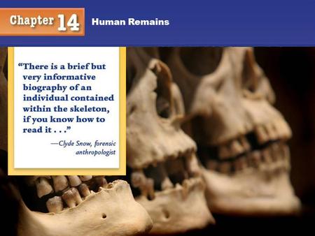 Chapter 12 Human Remains Kendall/Hunt.