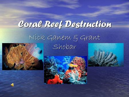 Coral Reef Destruction
