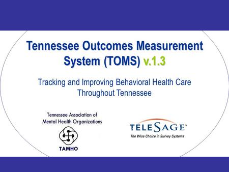 Tennessee Outcomes Measurement System (TOMS) v.1.3