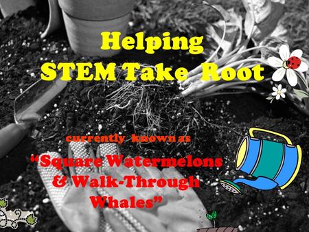 Helping STEM Take Root currently known as Square Watermelons & Walk-Through Whales.