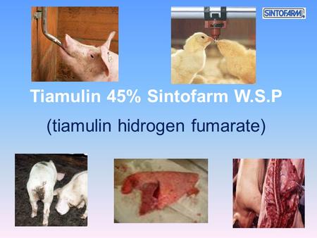 Tiamulin 45% Sintofarm W.S.P