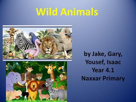 Wild and Domestic Animals - ppt video online download