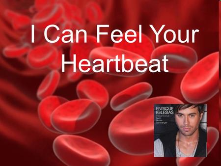 I Can Feel Your Heartbeat The Circulatory System I Can Feel Your Heartbeat.