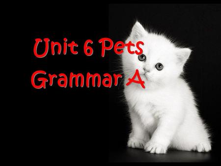 Unit 6 Pets Grammar A. You must know something about dogs, cats, parrots and goldfish. Can you describe them?
