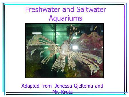 Freshwater and Saltwater Aquariums