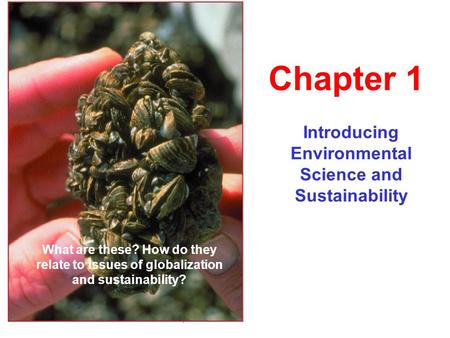 Introducing Environmental Science and Sustainability
