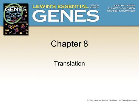 Chapter 8 Translation.