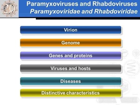 Paramyxoviruses and Rhabdoviruses Paramyxoviridae and Rhabdoviridae