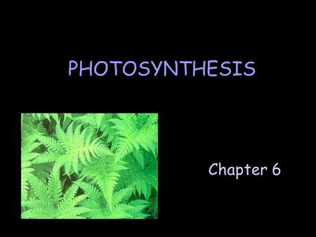 PHOTOSYNTHESIS Chapter 6