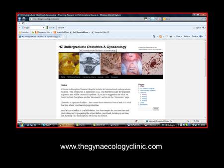 Www.thegynaecologyclinic.com.
