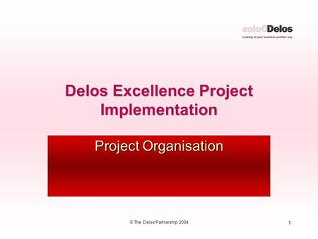 1 © The Delos Partnership 2004 Delos Excellence Project Implementation Project Organisation.