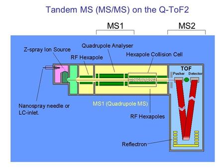 Tandem MS (MS/MS) on the Q-ToF2