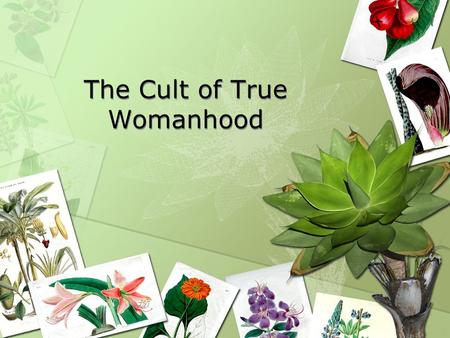 The Cult of True Womanhood