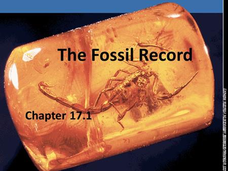 The Fossil Record Chapter 17.1.