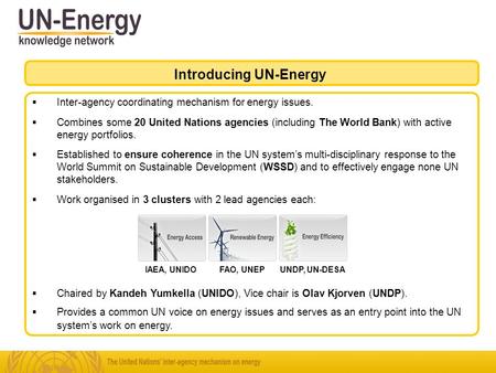 Inter-agency coordinating mechanism for energy issues. Combines some 20 United Nations agencies (including The World Bank) with active energy portfolios.