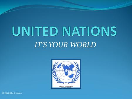 UNITED NATIONS IT’S YOUR WORLD © 2011 Biba S. Kavass.