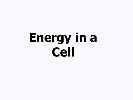 Energy in a Cell.