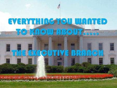 EVERYTHING YOU WANTED TO KNOW ABOUT….. THE EXECUTIVE BRANCH